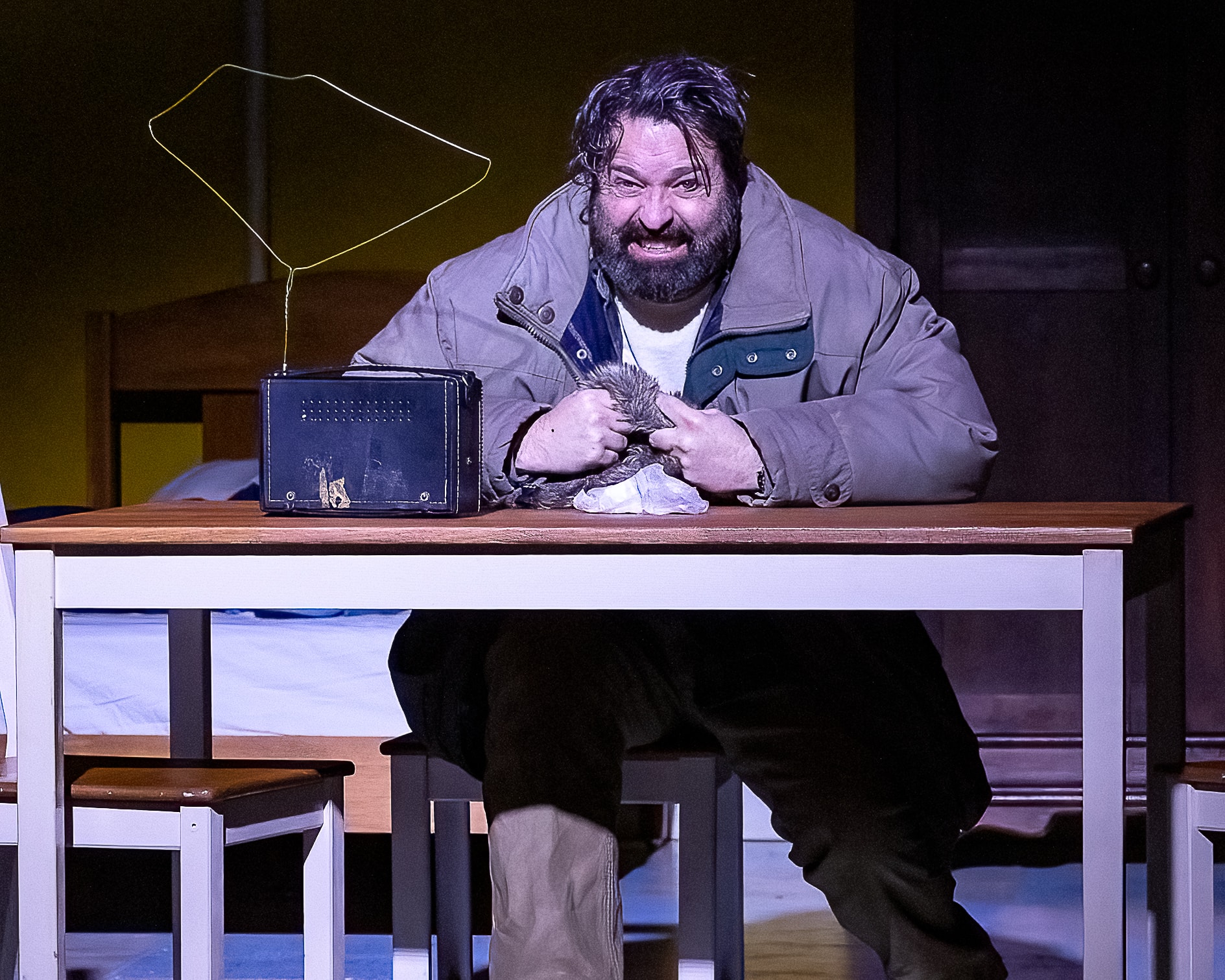 Elling 2023 — man holding hedgehog at desk on stage