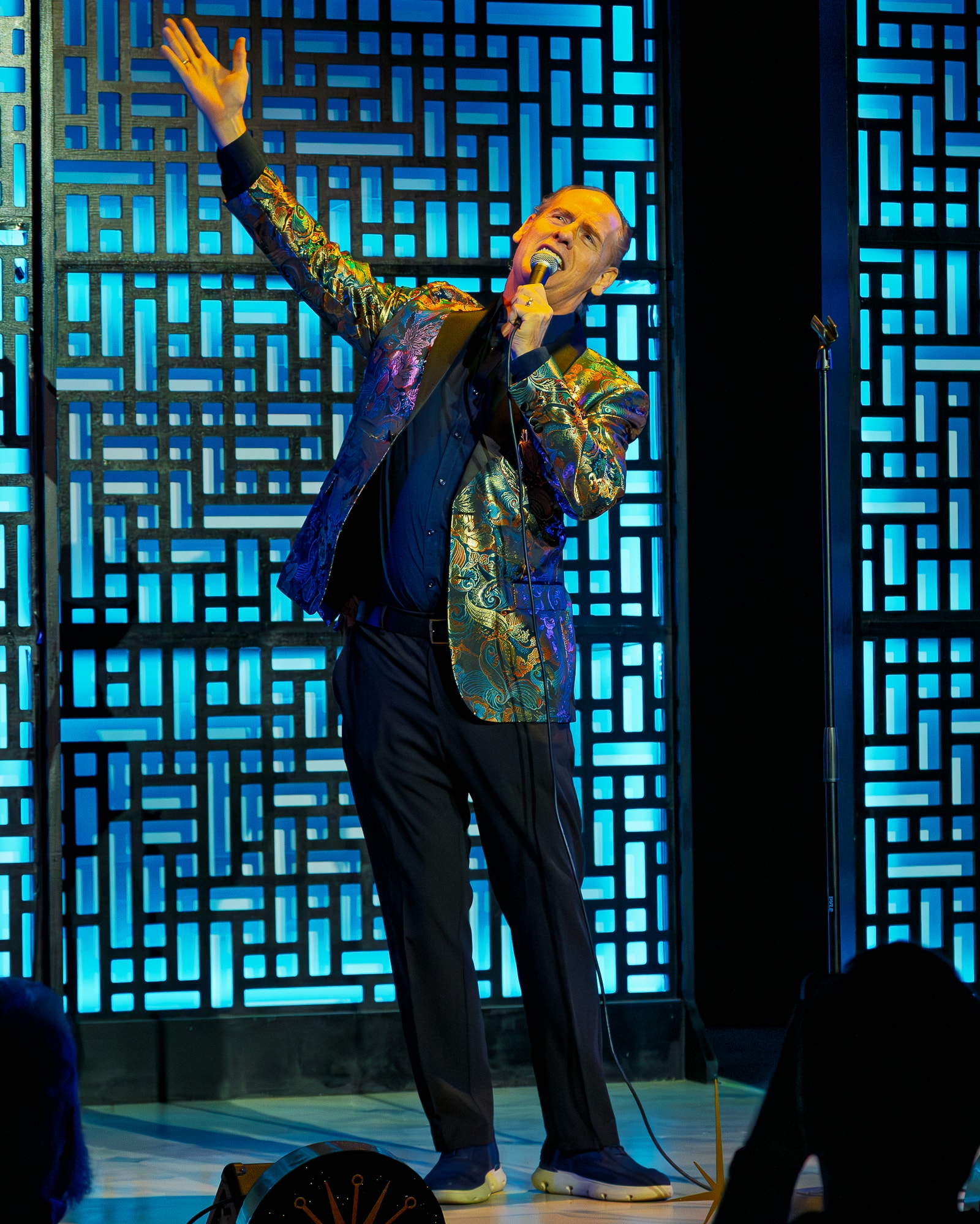 The Fabulous Lounge Swingers — solo performer singing with raised fist